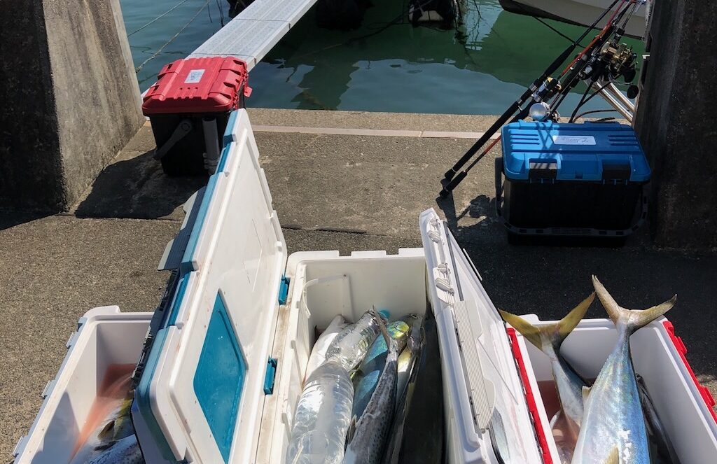 港に並べた釣り竿と魚の入ったクーラーボックス