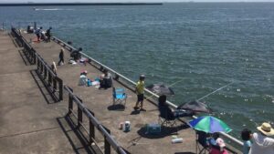 堤防で海釣りを楽しむ人たち