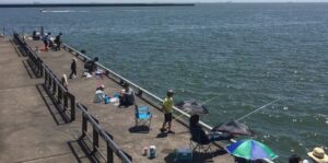 堤防で海釣りを楽しむ人たち